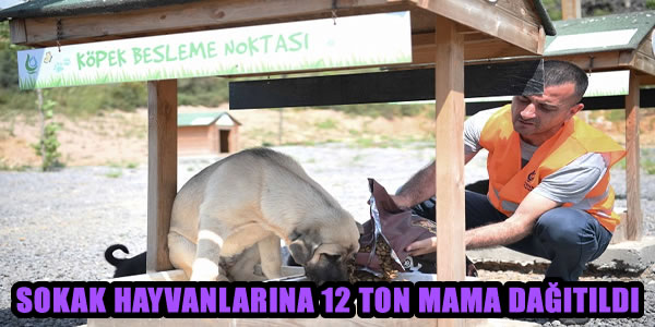 SOKAK HAYVANLARINA 12 TON MAMA DAĞITILDI